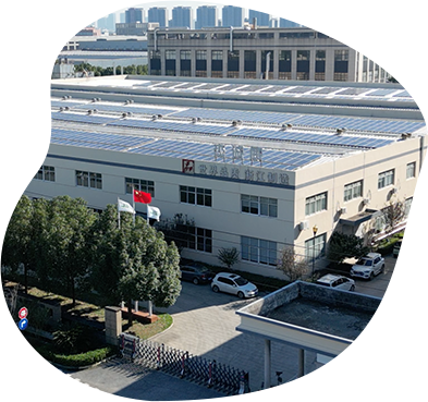 Táirgí Foraoise Jesonwood (ZJ) Co., Ltd.